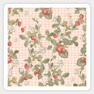 Vintage strawberries on pink gingham Sticker